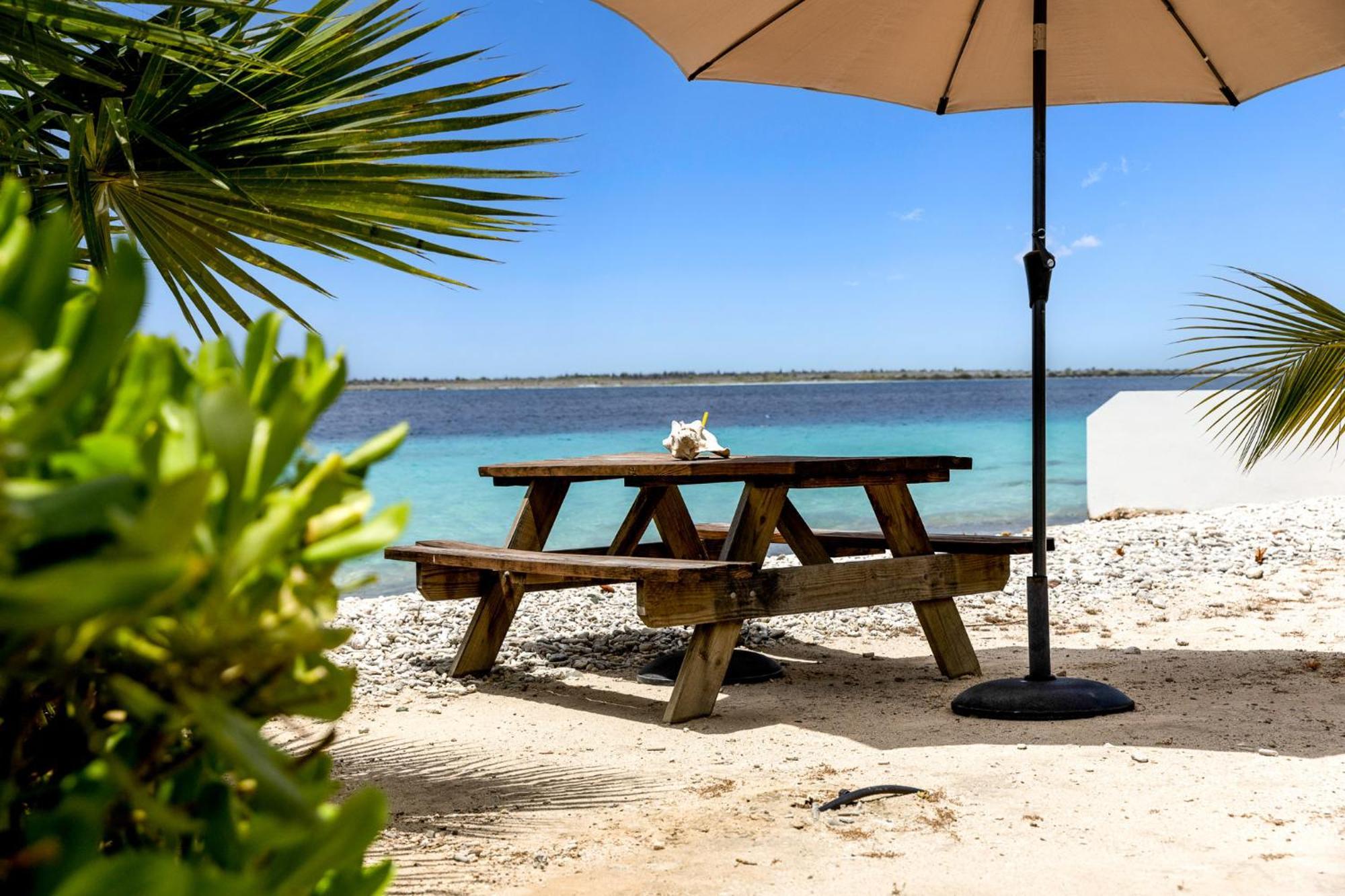 Oceanfront - Villa Port Of Call - Playa Eksteriør billede